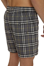 Load image into Gallery viewer, Checked swim shorts