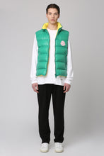 Load image into Gallery viewer, Parke full zip down vest