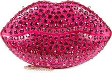 Load image into Gallery viewer, Kiss Me Miniaudière clutch