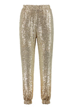Load image into Gallery viewer, Annunziare Sequined trousers
