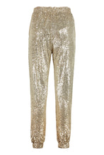 Load image into Gallery viewer, Annunziare Sequined trousers
