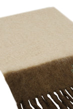 Load image into Gallery viewer, Firny frayed edges scarf
