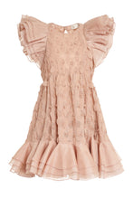 Load image into Gallery viewer, Embroidered mini dress
