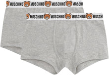 Load image into Gallery viewer, Set of two Logo band trunks

