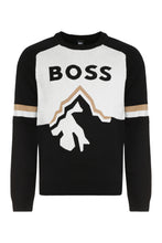 Load image into Gallery viewer, Intarsia crew-neck sweater
