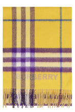 Load image into Gallery viewer, Cashmere scarf
