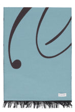 Load image into Gallery viewer, Wool and silk scarf
