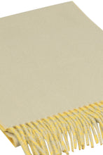 Load image into Gallery viewer, Cashmere scarf
