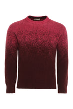 Load image into Gallery viewer, Virgin wool sweater

