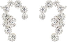 Load image into Gallery viewer, Embellished earrings
