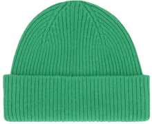 Load image into Gallery viewer, Logo wool beanie
