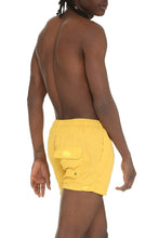 Load image into Gallery viewer, Nylon swim shorts
