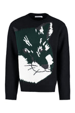 Load image into Gallery viewer, Wool crew-neck sweater

