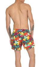 Load image into Gallery viewer, Moorise printed swim shorts
