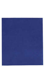 Load image into Gallery viewer, Silk scarf
