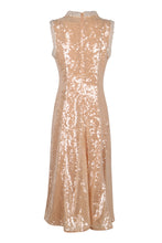 Load image into Gallery viewer, Sequin dress
