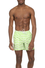 Load image into Gallery viewer, Printed swim shorts
