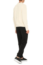 Load image into Gallery viewer, Long sleeve crew-neck sweater
