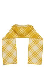 Load image into Gallery viewer, Wool scarf
