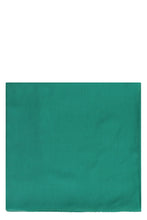 Load image into Gallery viewer, Rivera chiffon shawl
